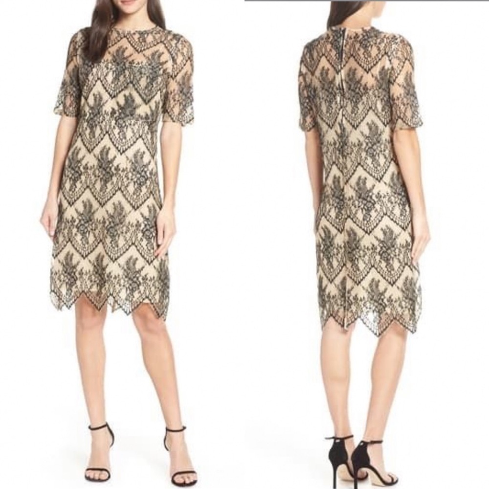 NWT CAARA Scalloped Lace Shift Dress‎ Black Tan S